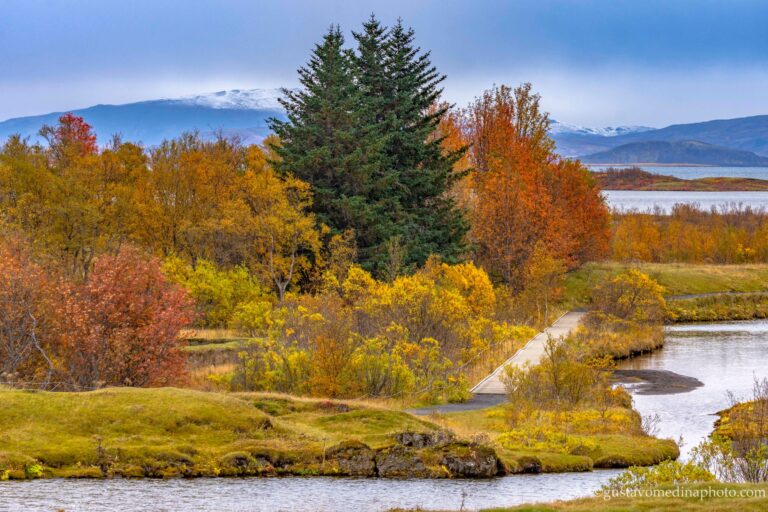 400682324_834212175371055_7380318504335004242_n