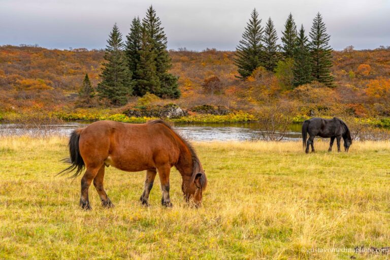 400683950_834211998704406_3921839516307916256_n