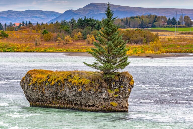 400771067_834212048704401_9081336966348898530_n